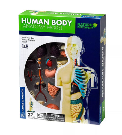 ŽMOGAUS KŪNO ANATOMIJOS MODELIS